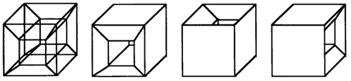 fig. 2.1 plusieurs interprétations possibles pour un même modèle en fil de fer 