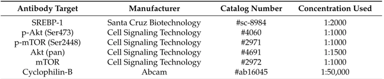 Table 1. Primary antibodies used for Western blots.