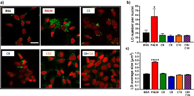 Figure 2. Effect of fatty acids on HepG2 intracellular lipid storage. HepG2 cells were treated 24 h with  0.25 mM PALM, C6, C8, C10, a C8 + C10 equimolar mix, or vehicle control (BSA)