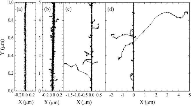Figure I.3  Projections over the XY plane of track segments calculated (at ~10 -13  s) for  H +   (0.15  MeV),  (b)  4 He 2+   (1.75  MeV/nucleon),  (c)  12 C 6+   (25.5  MeV/nucleon), and (d)  20 Ne 10+  (97.5 MeV/nucleon) impacting ions