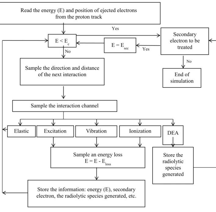 Figure I.8  Algorithm of the TRACELE simulation program. Read the energy (E) and position of ejected electrons  