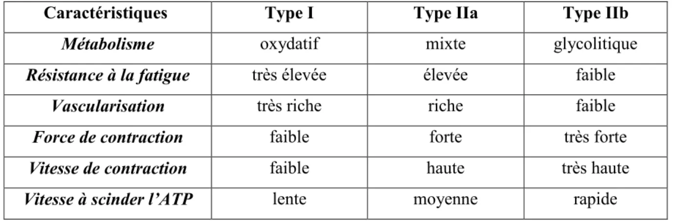 Tableau 2 : Caractéristiques des différents type de fibres. 