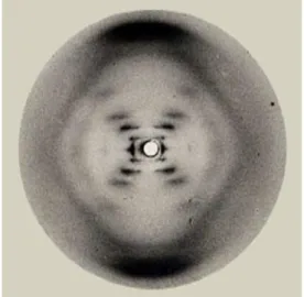 Figure 7. Two iconic images of the double helix a) Photo 51: the X-ray  diffraction of DNA produced by Rosalind Franklin in Franklin, R