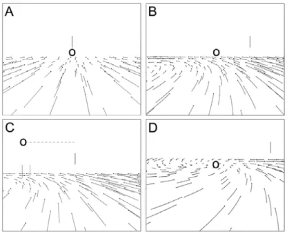 Figure  28  :  Schémas du flux rétinien dans différentes conditions de déplacement et  d'observation