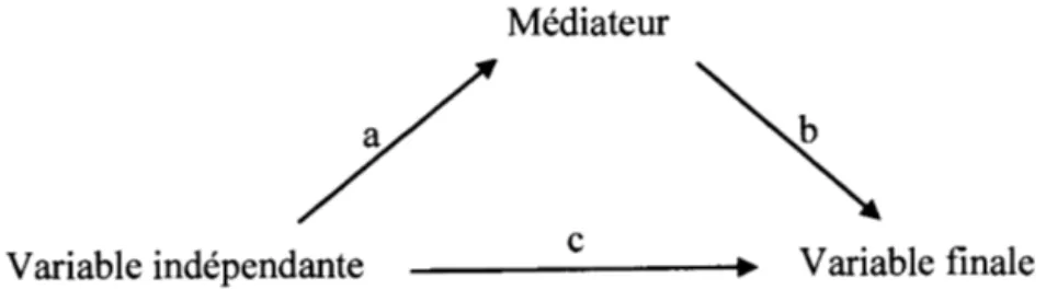 Figure 2.2 La satisfaction en tant que variable médiatrice 