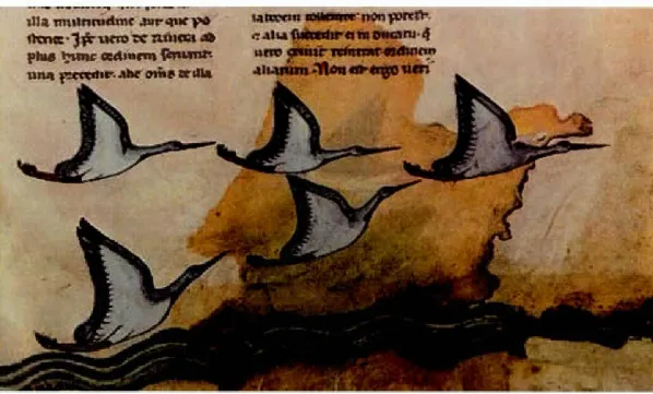 Figure 3.  Formation  en angle des oiseau x  mi g rateur s  (Ms Pal.  lat.  1  071) 