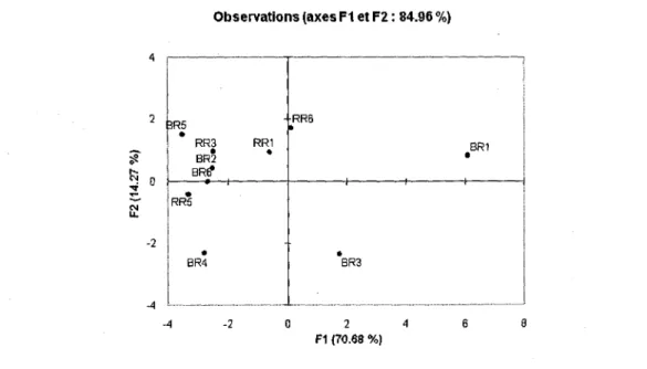 Figure 4-20 : Representation des individus dans le plan F1F2 des epontes de roche (avant essai) du  barrage de Rapide 7 
