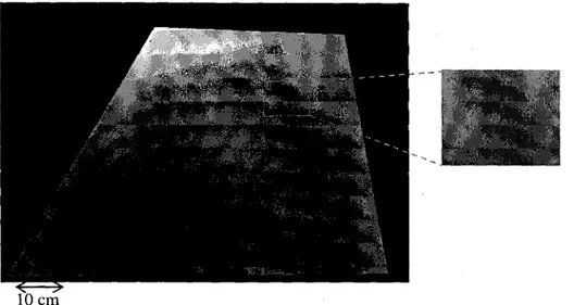 Figure 2-21: Image en niveaux de gris d'un bloc de granite 
