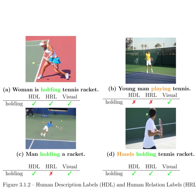 Figure 3.1.2 – Human Description Labels (HDL) and Human Relation Labels (HRL) capture only some concepts visible in the image