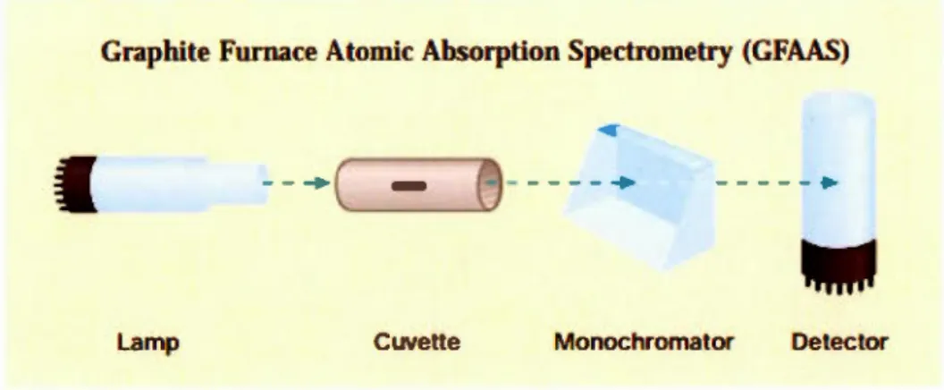 Figure  1.16  :  Principales  composantes  du  GF AAS  ainsi  que  son chemin optique 