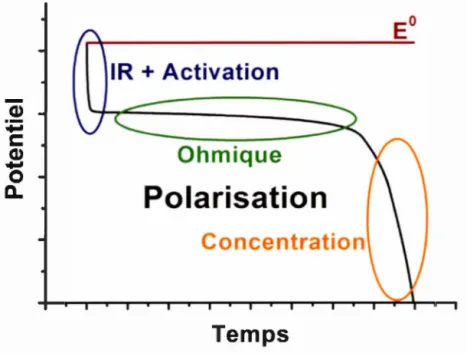 Figure  1.28  :  Courbe  de  décharge  à  basse  vitesse avec  les  différents  phénomènes de  polarisation  représentés 