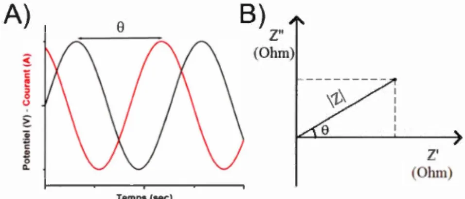 Figure 1.33  :  A)  Illustration du  déphasage  entre  le  potentiel  et  le  courant en  temps 