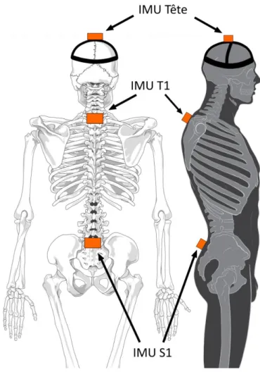 Figure 20 : Placement des IMU, adapté de Patrick J. Lynch &amp; C. Carl Jaffe 
