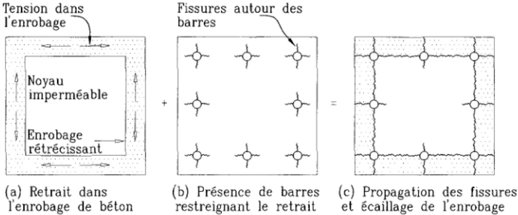 Figure 1.1 - Facteurs causant l'ecaillage precoce de l'enrobage de beton des poteaux en 