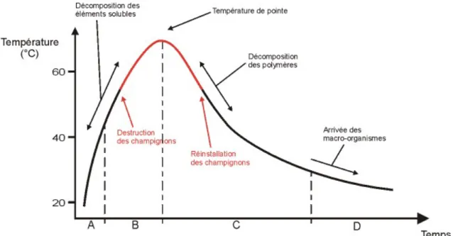 Figure 2.1 : Les différentes phases du compostage aérobie   Tiré de Mercier, 2009 