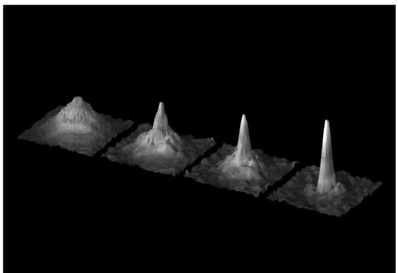 Figure 6. Formation d’un condensat de Bose-Einstein