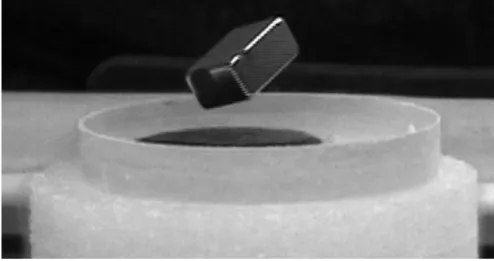 Figure 3. La lévitation magnétique