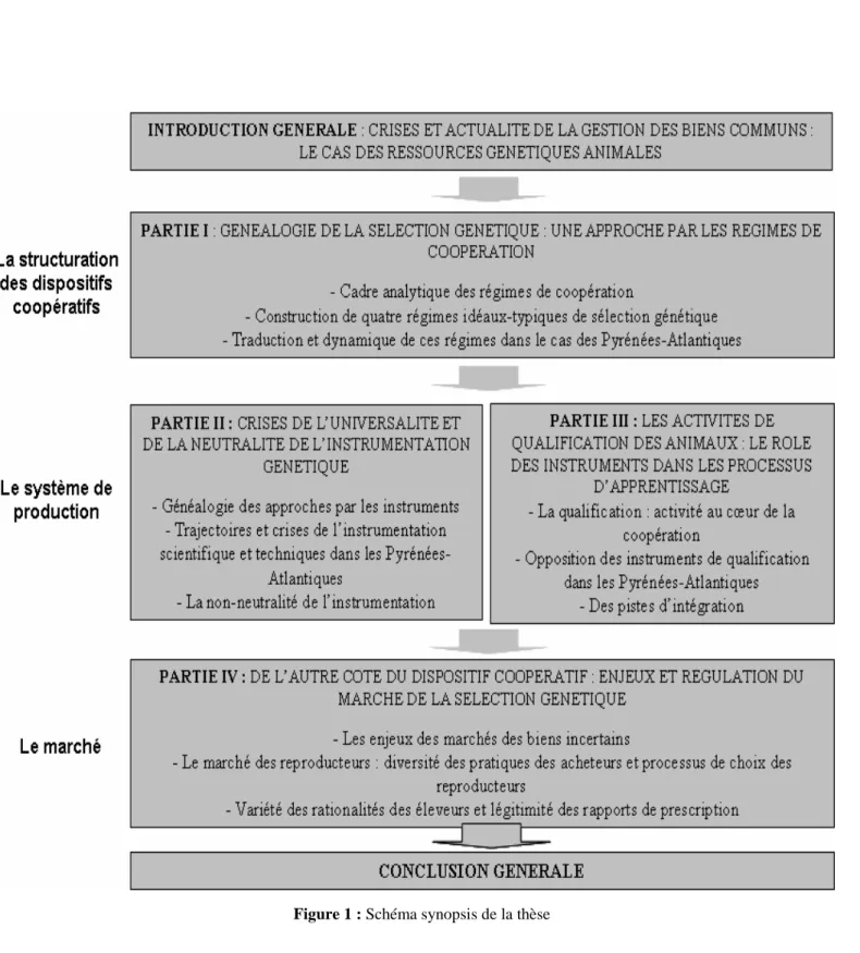 Figure 1 : Schéma synopsis de la thèse 