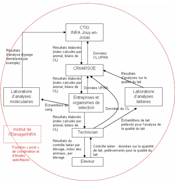 Figure 2 : Schéma du circuit national de l'information génétique animale (Labatut, 2006) 