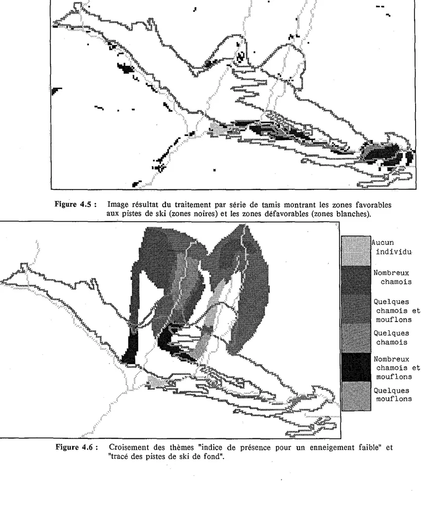 Figure  4.6  :  Croisement  des  thèmes  &#34;indice  de  présence  pour  un  enneigement  faible&#34;  et  &#34;tracé  des  pistes  de  ski  de  fond&#34;