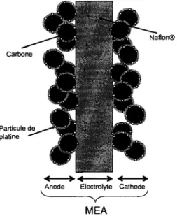 Figure 1.2 : Schema d'une MEA 