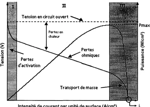 Figure 1.3 : Courbe VI typique 