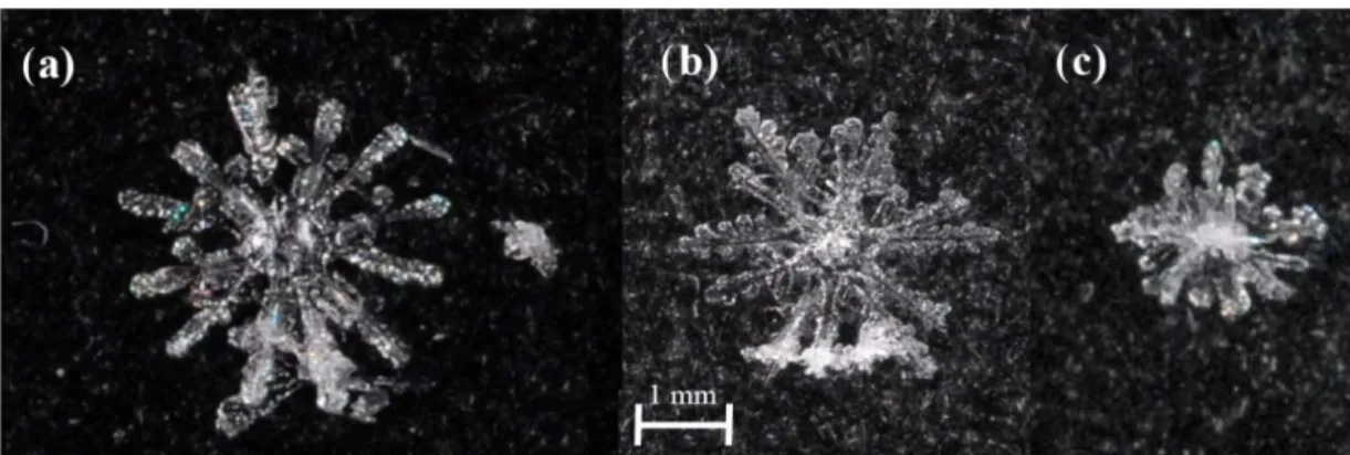Figure 7. The 12-branched dendrites were identified on 5 April 2015 at (a) 03:34 UTC, (b) 03:41 UTC and (c) 05:12 UTC