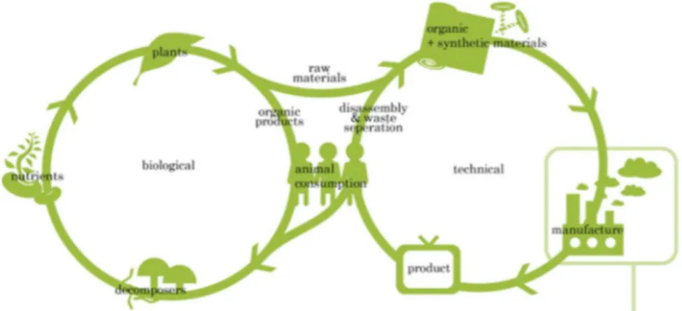 Figure 3 : les écosystèmes naturels et leur logique de bouclage comme source d'inspiration  1.1.1.3