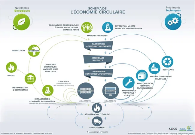 Figure 4 : les différentes activités de l'économie circulaire (FEM, 2012) 