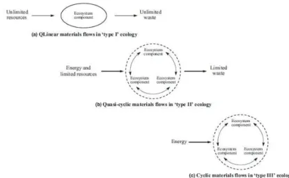 Figure 9 : les stratégies de maturation des écosystèmes industriels selon Allenby et Cooper (1994)  Certains chercheurs européens ou évoluant en Europe participent à la structuration de ce champ de  par leur travail sur les écosystèmes et métabolismes indu