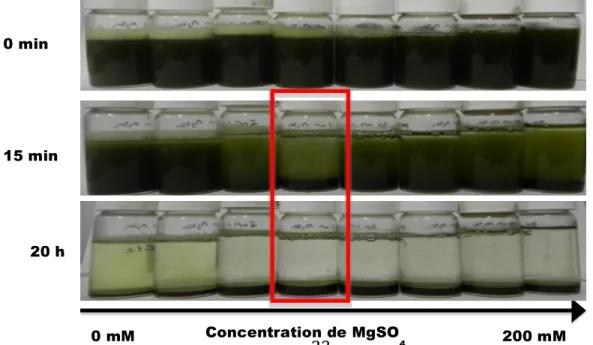 Figure	  4.5	  Variation	  de	  la	  transmittance	  en	  fonction	  de	  la	  concentration	  de	  Ca(OH) 2 	  après	  15	  min	  et	  45	  min	  	  de	  