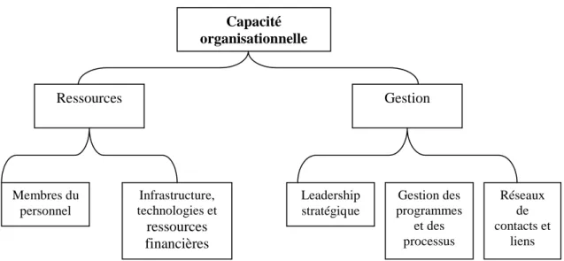 Figure 7 : Les types de capacités organisationnelles selon Horton et al (2004). 