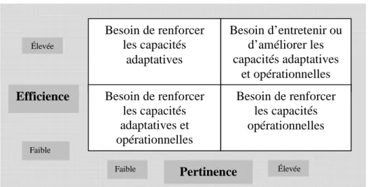Figure 9 : Les capacités nécessaires à l’amélioration de l’efficience et de la pertinence  d’après Horton et al (2004) 