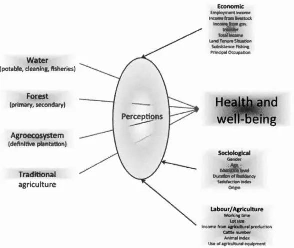 Figure  1.1:  General  schema of  the  conceptual  framework and  variables 