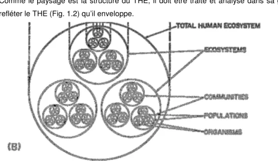 Figure 1.2 : The Total Human Ecosystem (tiré de: Naveh, 2000, p.15) 