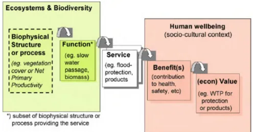 Figure 2.1 :  Lien  entre  les  écosystèmes  et  le  bien-être  de  l’Homme  (tiré  de :  de  Groot, 2010, p.264) 
