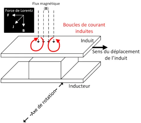 Figure 2.4 Boucles de courant dans l’induit et force de Lorentz résultante dans l’embrayage