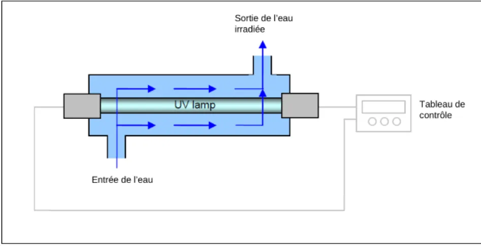 Figure 12. Schéma du traitement de l’eau par UV. Source : adapté de [Leggett et al. 2001 (b)]