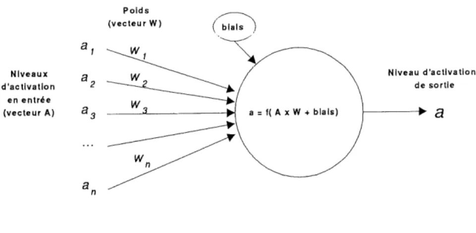 FIG. 4.1: Modele d'un neurone