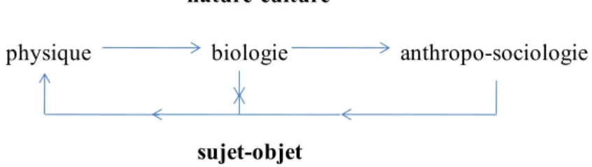 Figure 7: la boucle ‘morinienne’ (à partir de Morin, 1977, 17) 