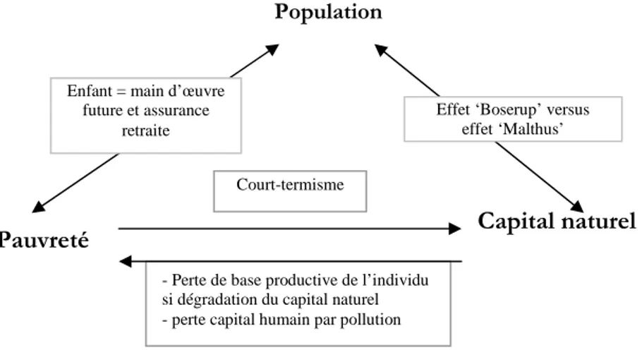 Figure 3.4 : Canaux existants entre capital naturel et pauvreté 