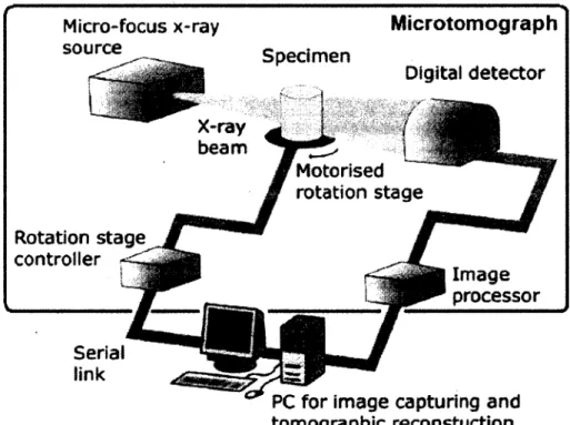 Figure 2.1 - Architecture d'un microtomographe [Forsberg, 2008] 
