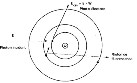 Figure 2.5 - Effet photoélectrique 