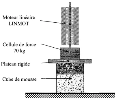 Figure 6.2 Machine de compression pour le test de compression d'un cube de mousse. 