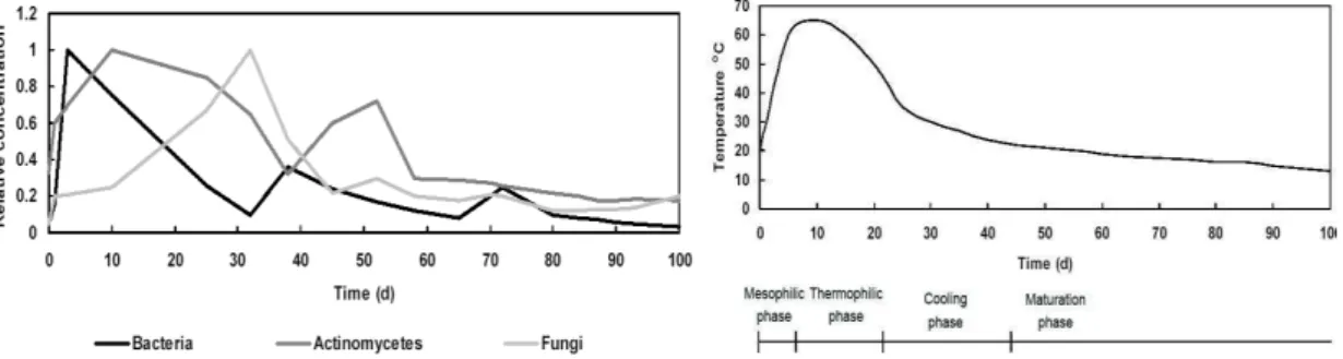 Figure 1.1_A): Microbial succession during the composting process (Epstein, 1997)  1.1_B): Idealized temperature variation in the compost during the composting process 