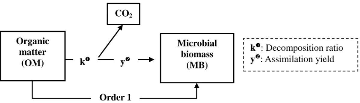 Figure  1.2:  Model  describing  the  flux  of  C  and  N  in  the  course  OM 