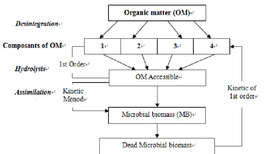 Figure  1.3:  Schematic  Representation  of  ADM1  model:  conversion  of  a  process  of 