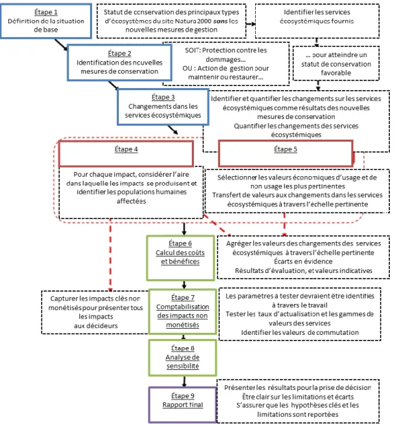 Figure 3.4 Approche en 9  étapes de l’outil sur les mesures de conservation dans les sites Natura  2000 (traduction libre de : ARCADIS Belgium, 2011, p.28) 