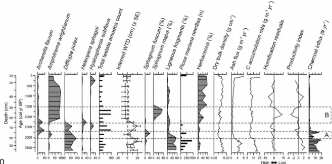 Figure   5:   Conceptual   model   scenarios,   DigiBog   output   and   visual   representation   of ecosystem processes