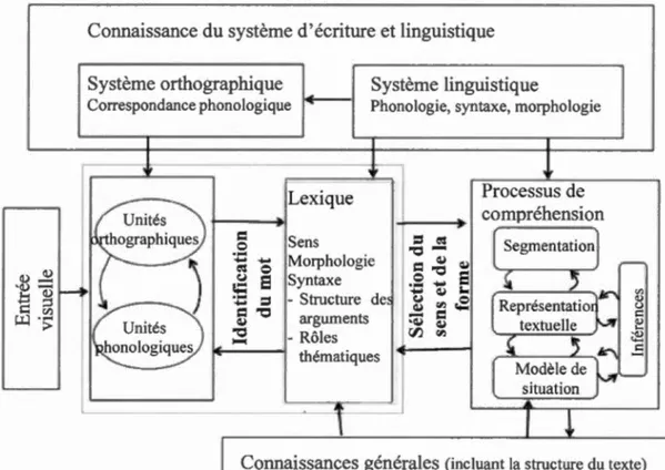 Figure  2.1  Processus de compréhension en  lecture 